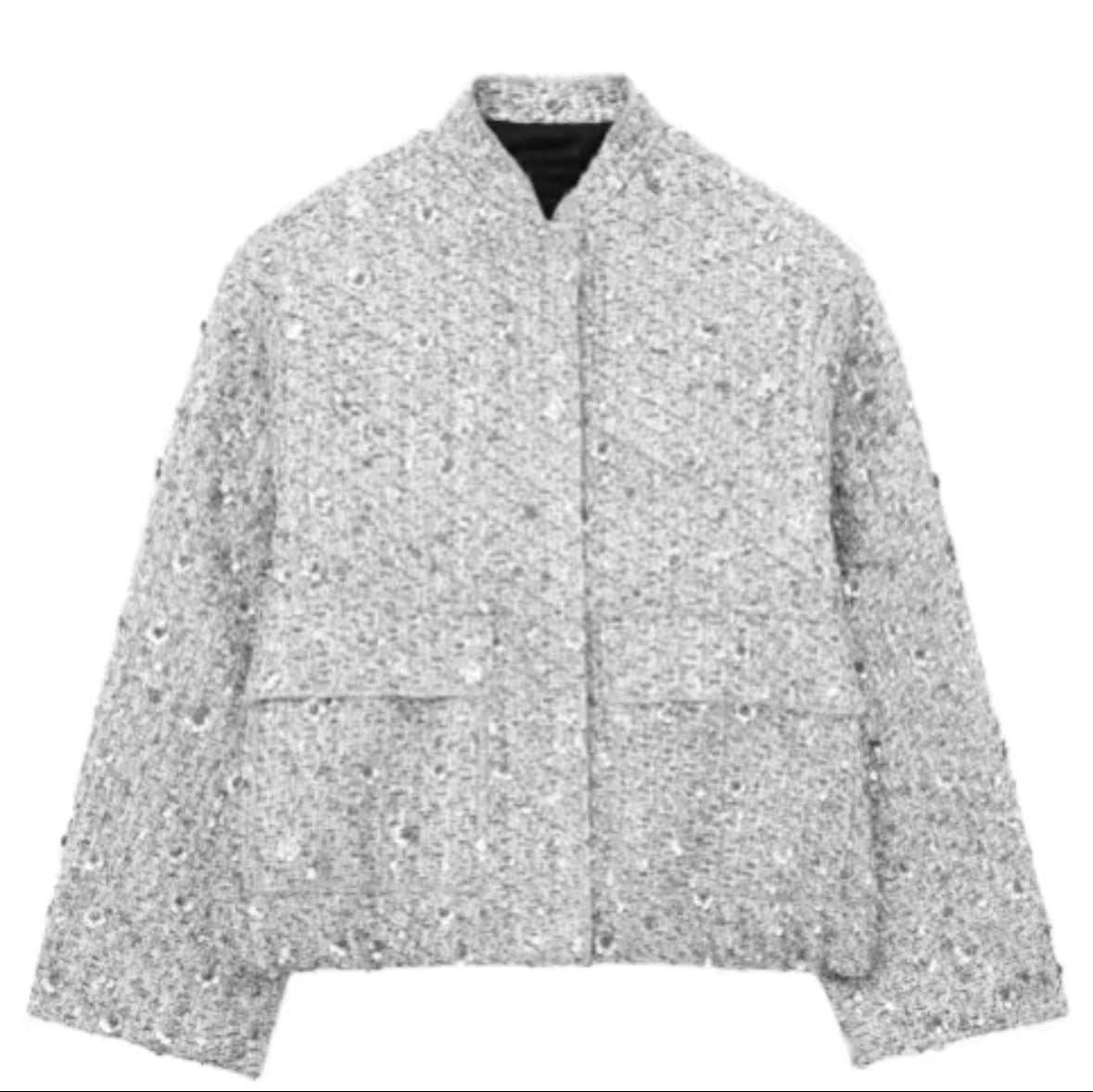 Luxe Sparkle Long Sleeve Jacket