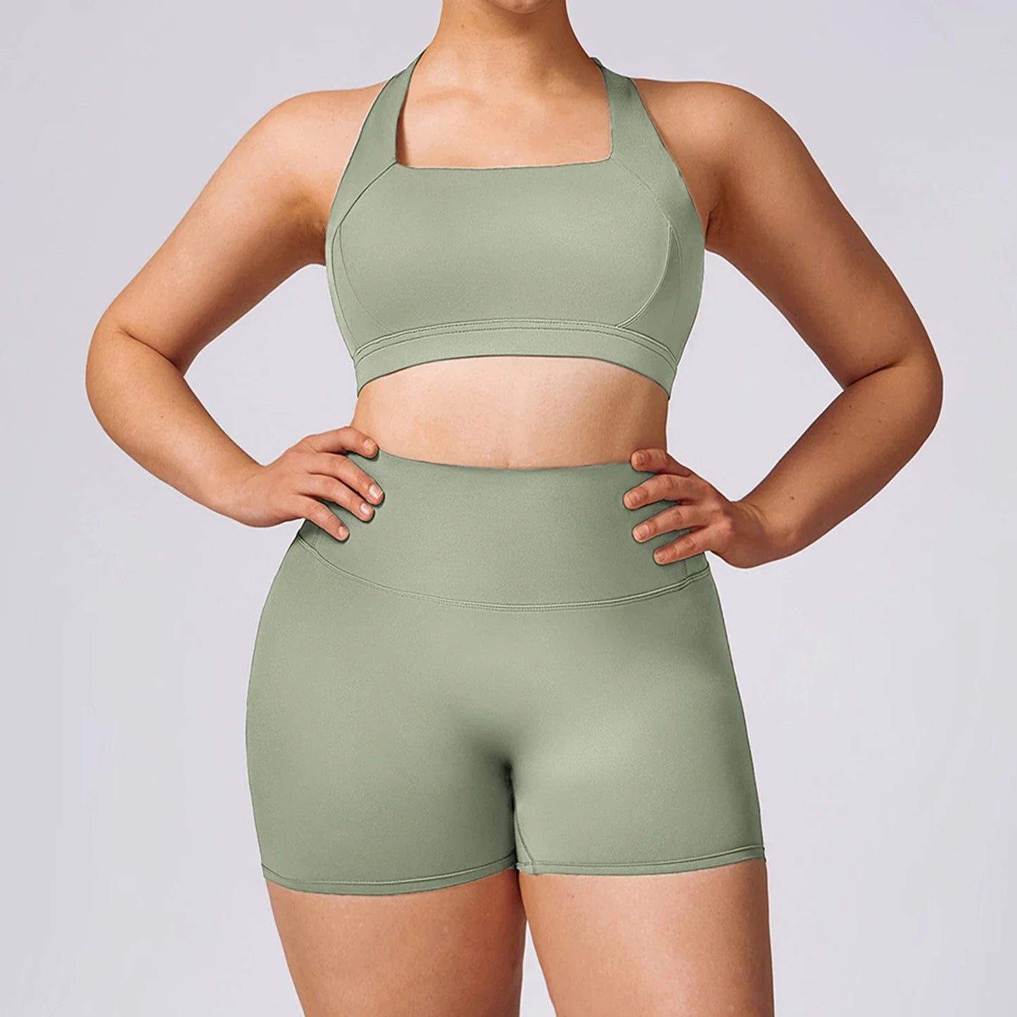 A&A ProSculpt Plus Size High Waist Shorts