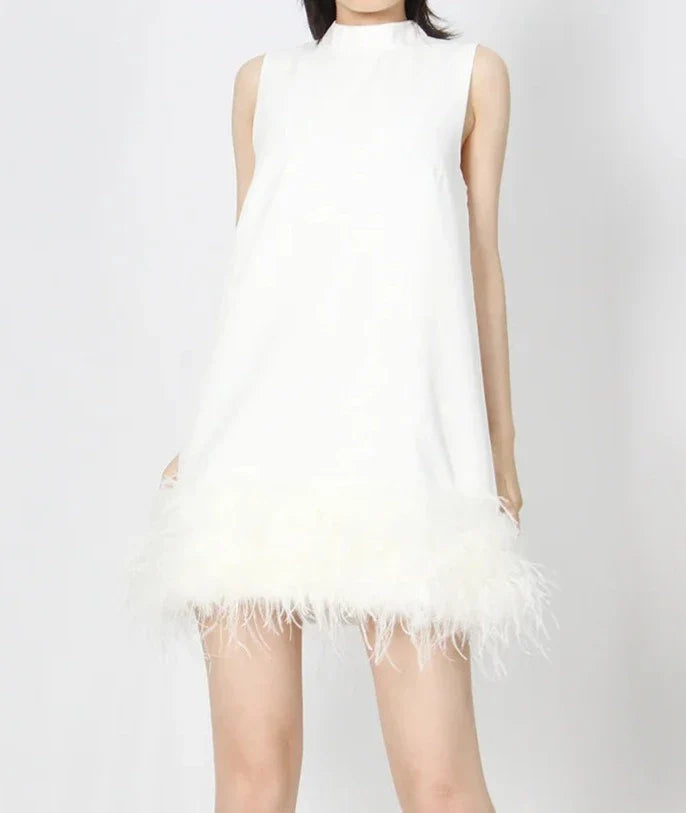 Luxe A Line Feather Tassel Dress