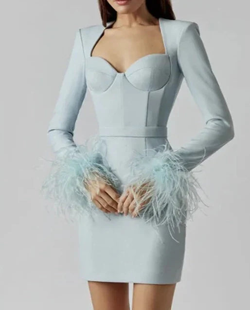 Luxe Long Sleeve Feathers Mini Bodycon Bandage Dress